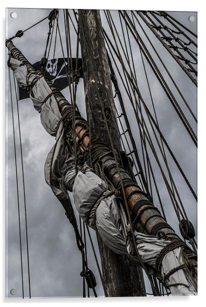 Pirate Matthew Acrylic by Andy Davis