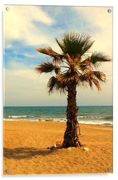 Palm Tree on a beach Acrylic by JEAN FITZHUGH
