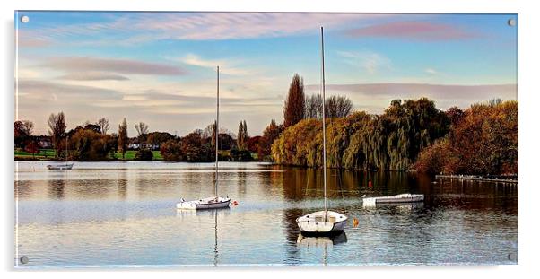 Danson Park, Bexleyheath, Boating Lake Acrylic by Robert Cane