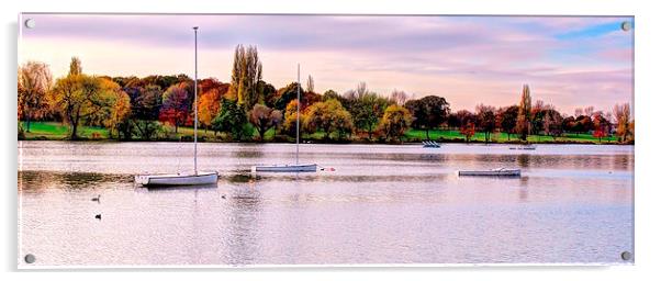 Danson Park, Bexleyheath, Boating Lake Acrylic by Robert Cane