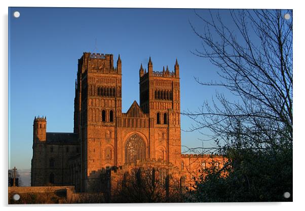 Durham Cathedral Acrylic by Steve Wilson