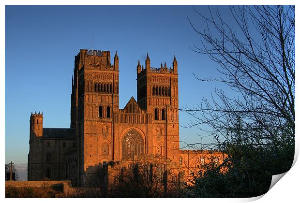 Durham Cathedral Print by Steve Wilson