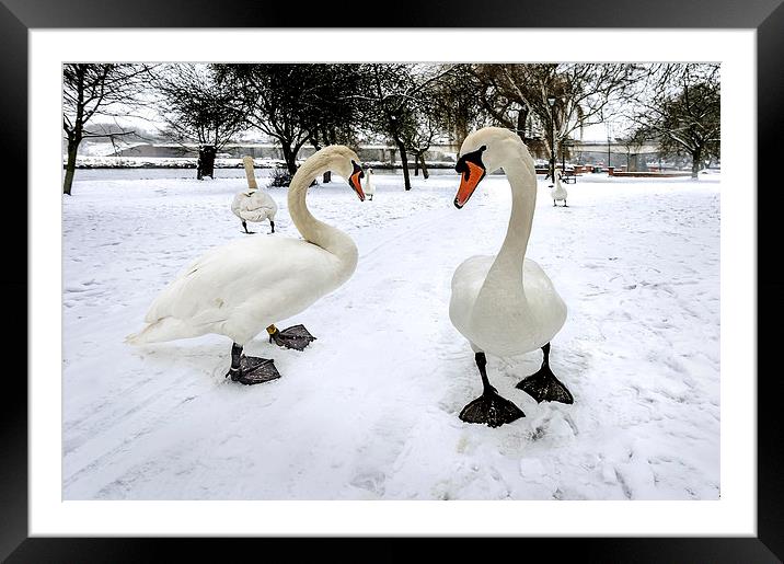 Snow Patrol Framed Mounted Print by mhfore Photography