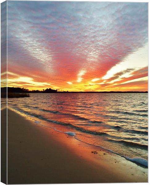 Sunset Streaks Canvas Print by Beach Bum Pics