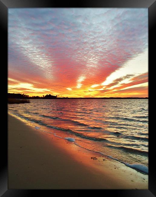 Sunset Streaks Framed Print by Beach Bum Pics