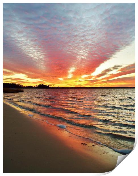 Sunset Streaks Print by Beach Bum Pics