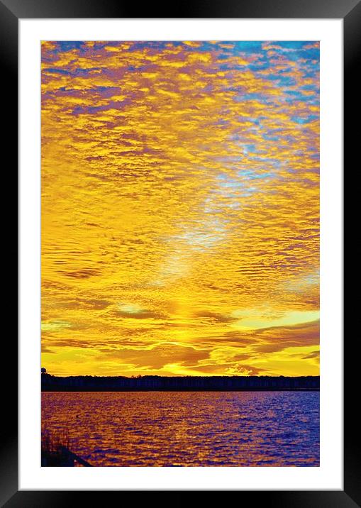 Golden Sunset Framed Mounted Print by Beach Bum Pics