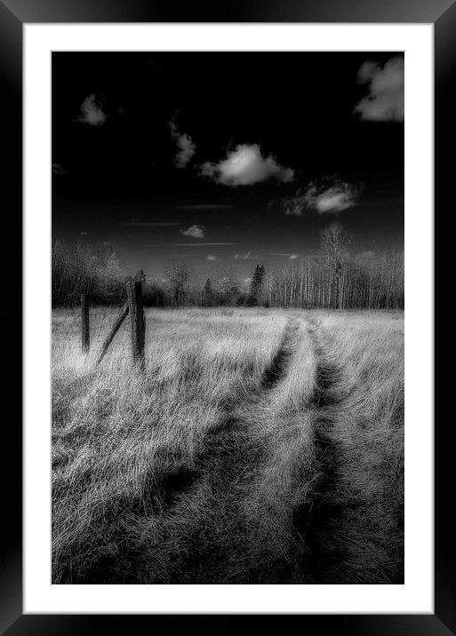 Road Less Travelled Framed Mounted Print by heather rivet