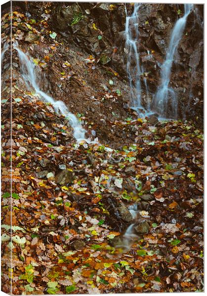 Waterfall and autumnal leaves near Brothers Water. Canvas Print by Liam Grant