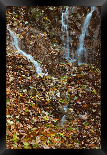 Waterfall and autumnal leaves near Brothers Water. Framed Print by Liam Grant