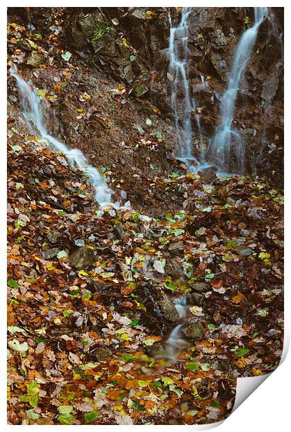 Waterfall and autumnal leaves near Brothers Water. Print by Liam Grant