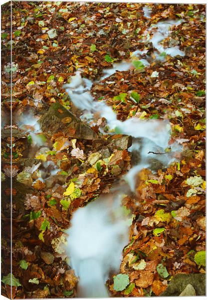 Waterfall and autumnal leaves near Brothers Water. Canvas Print by Liam Grant