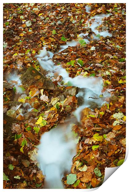 Waterfall and autumnal leaves near Brothers Water. Print by Liam Grant