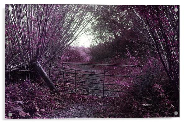purple haze Acrylic by Bobby Brown