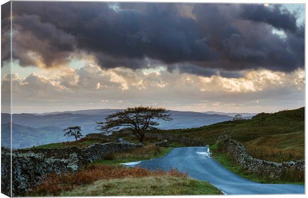 Tree beside remote mountain road at sunset. The st Canvas Print by Liam Grant