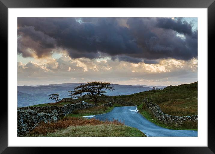 Tree beside remote mountain road at sunset. The st Framed Mounted Print by Liam Grant