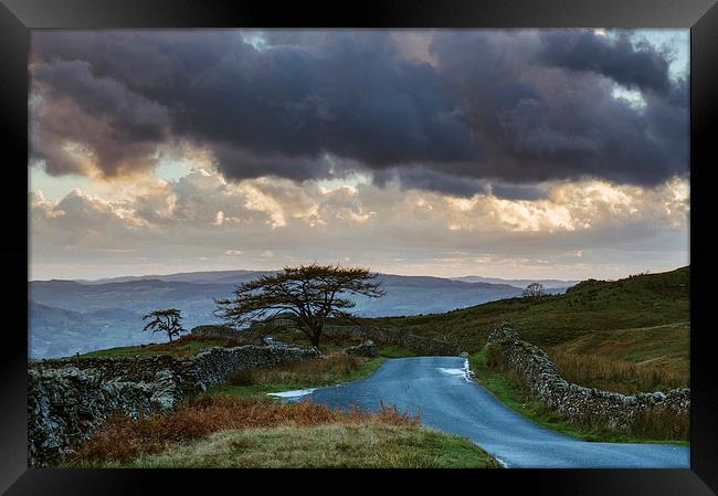 Tree beside remote mountain road at sunset. The st Framed Print by Liam Grant