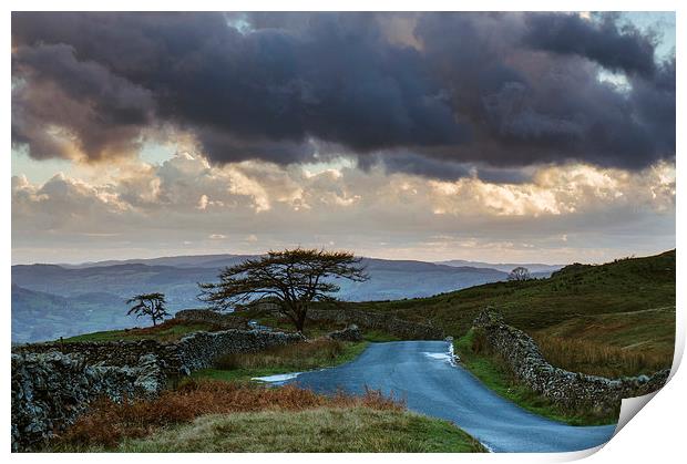 Tree beside remote mountain road at sunset. The st Print by Liam Grant