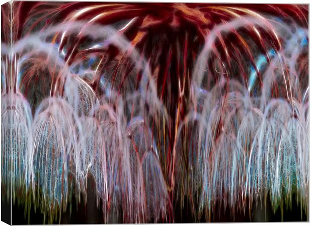 Dandelion Fireworks Canvas Print by Roger Green