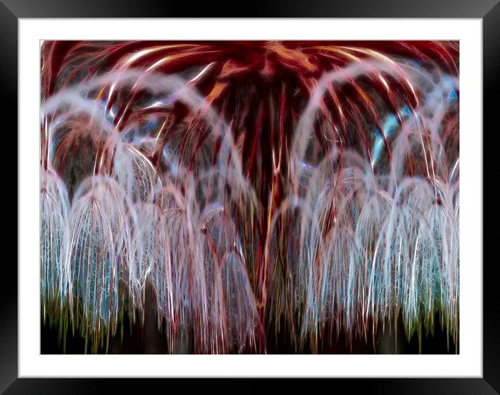 Dandelion Fireworks Framed Mounted Print by Roger Green
