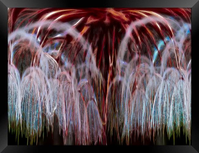 Dandelion Fireworks Framed Print by Roger Green