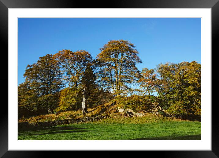 Autumnal trees in Grasmere. Framed Mounted Print by Liam Grant