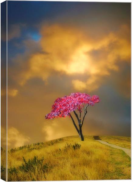 The Tree on the Hill Canvas Print by Christine Lake