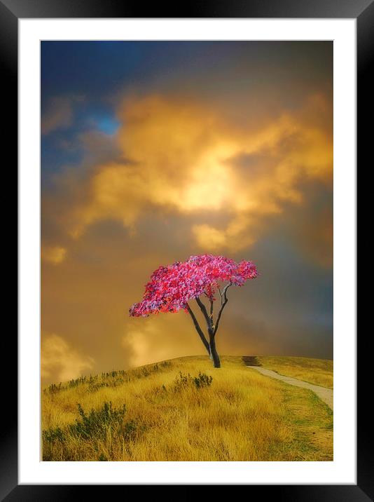 The Tree on the Hill Framed Mounted Print by Christine Lake
