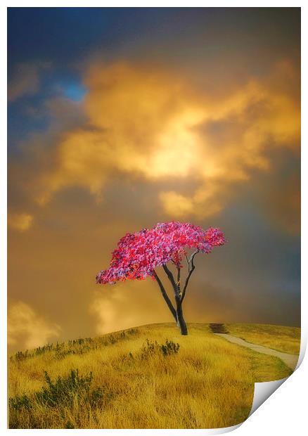 The Tree on the Hill Print by Christine Lake
