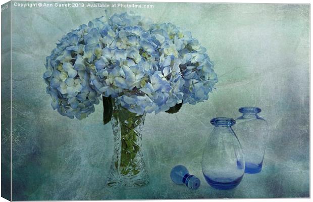 Hydrangeas Canvas Print by Ann Garrett