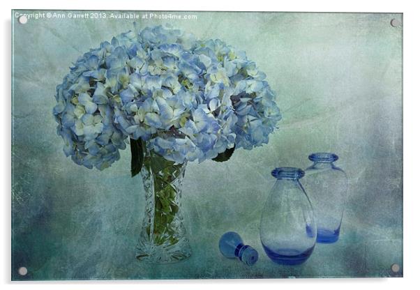 Hydrangeas Acrylic by Ann Garrett