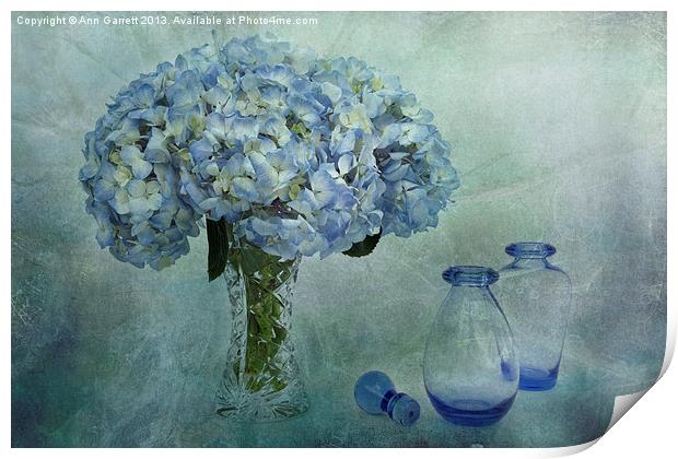 Hydrangeas Print by Ann Garrett
