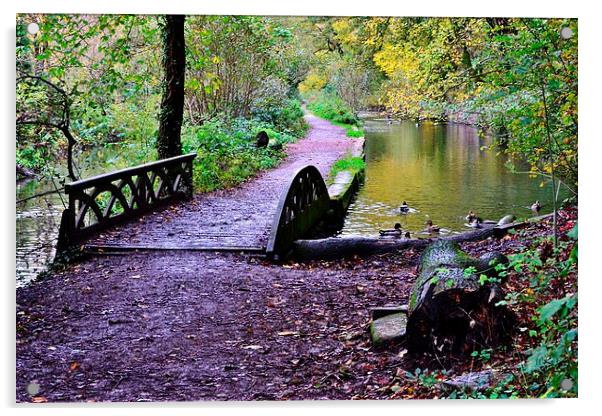 Glamorganshire Canal Acrylic by Paula J James