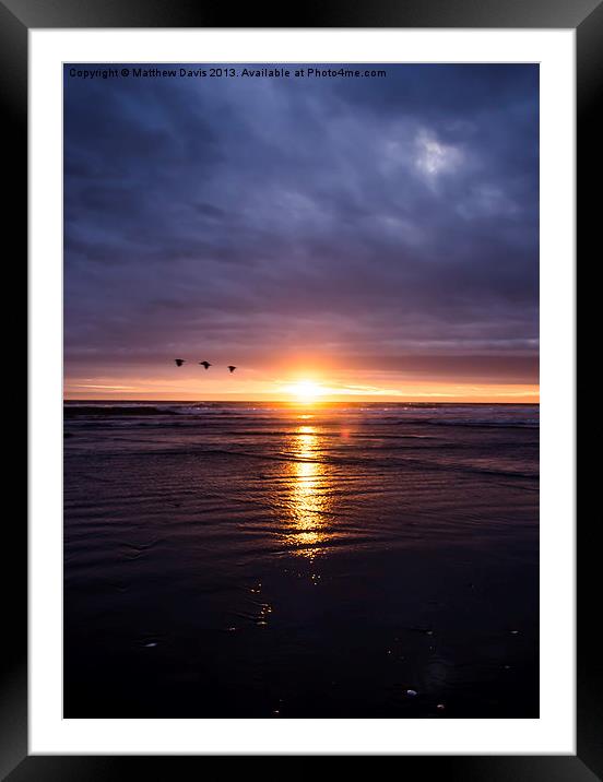 Three Birds at Sunset Framed Mounted Print by Matthew Davis