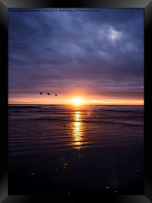 Three Birds at Sunset Framed Print by Matthew Davis