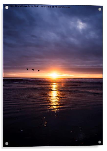 Three Birds at Sunset Acrylic by Matthew Davis