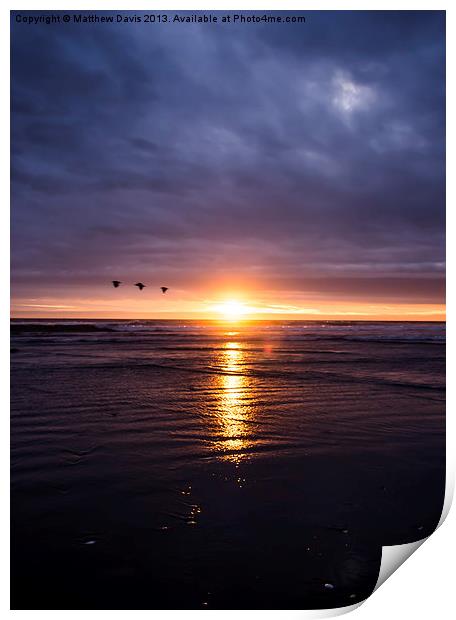 Three Birds at Sunset Print by Matthew Davis