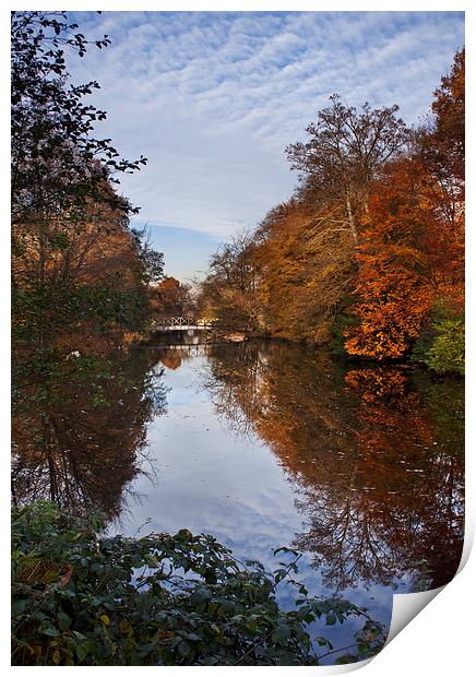 Autumn Reflections Print by Dawn Cox