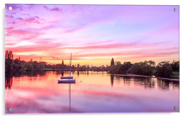 Sunset in Danson Park, Bexley Acrylic by John Ly