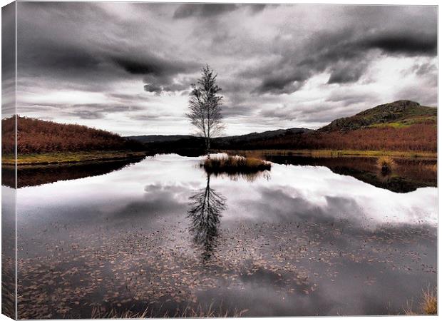 Reflecting Canvas Print by Sally Coleman