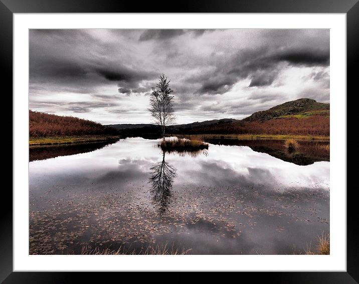 Reflecting Framed Mounted Print by Sally Coleman