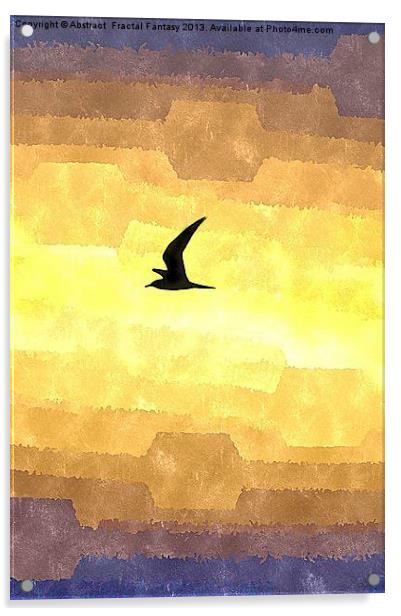 Abstract Seagull Flight Acrylic by Abstract  Fractal Fantasy