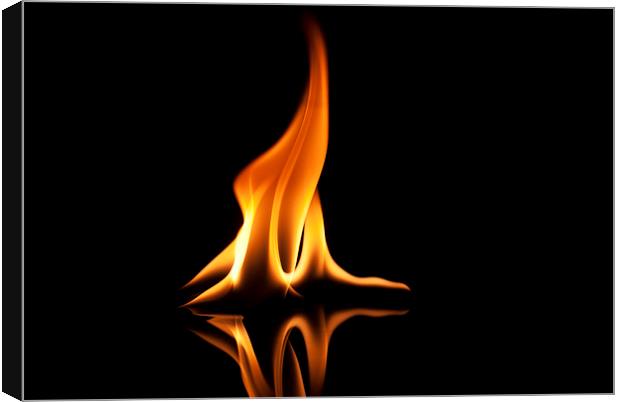 Flame 1 Canvas Print by Louise Wagstaff