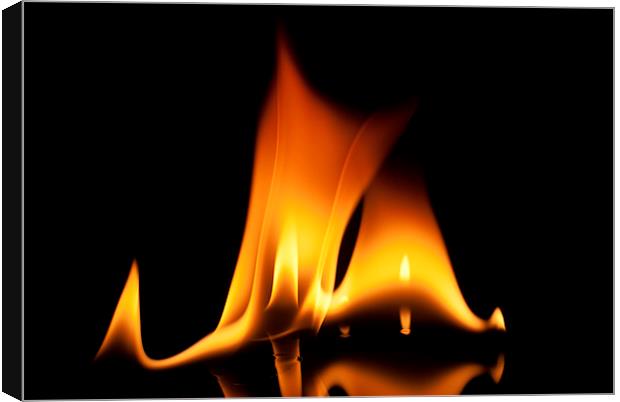 Flame 3 Canvas Print by Louise Wagstaff