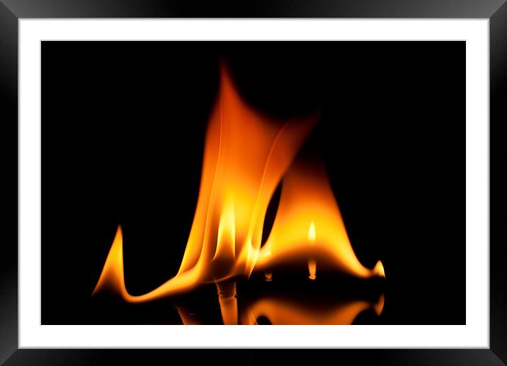 Flame 3 Framed Mounted Print by Louise Wagstaff