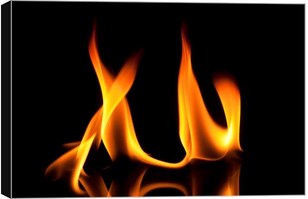 Flame 5 Canvas Print by Louise Wagstaff