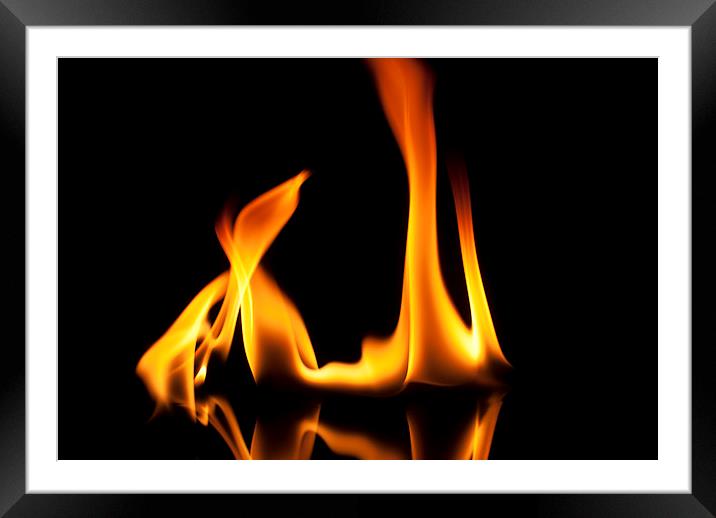Flame 6 Framed Mounted Print by Louise Wagstaff