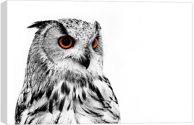 Eurasian Eagle Owl Canvas Print by Louise Wagstaff