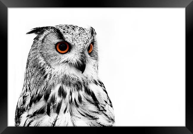 Eurasian Eagle Owl Framed Print by Louise Wagstaff