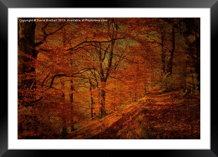 A Golden Day in Derbyshire Framed Mounted Print by David Birchall